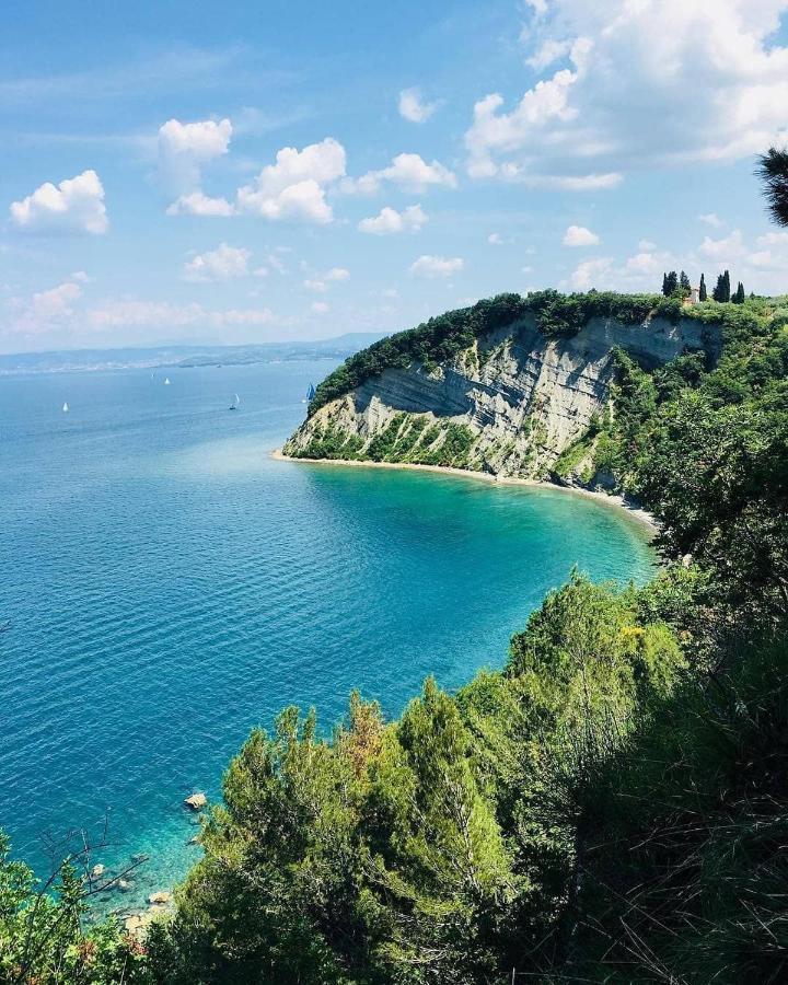 Dino Studio And Room Apartments Portorož Dış mekan fotoğraf