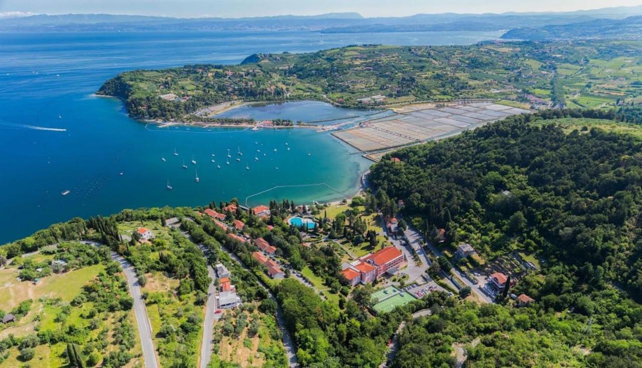 Dino Studio And Room Apartments Portorož Dış mekan fotoğraf